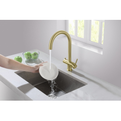 Eden - mosiądz antyczny